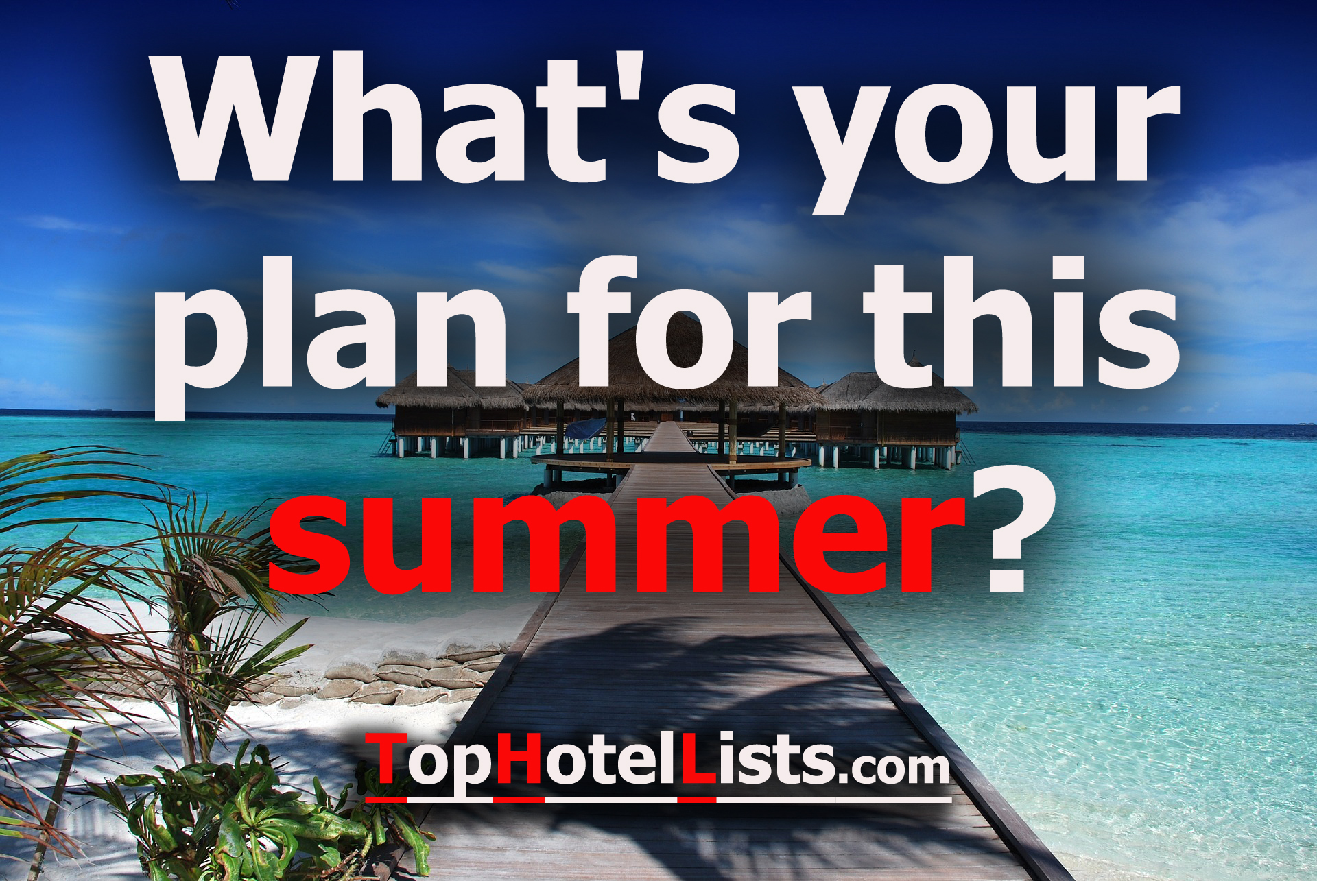 What's Your Plan For This Summer?!